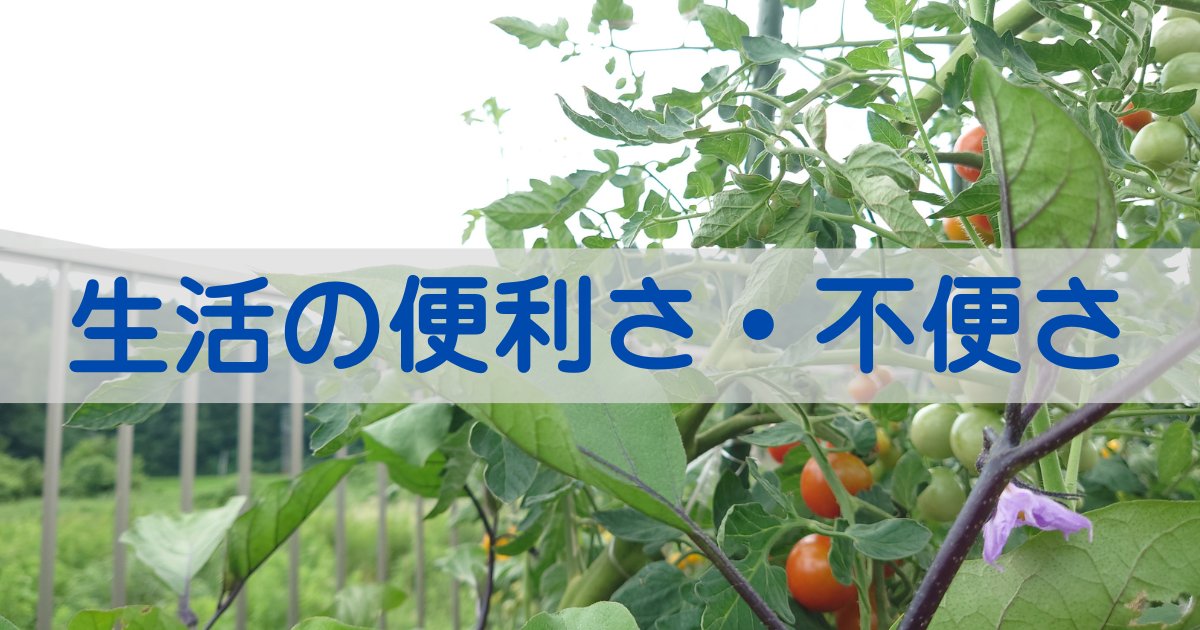 生活の便利さ・不便さ